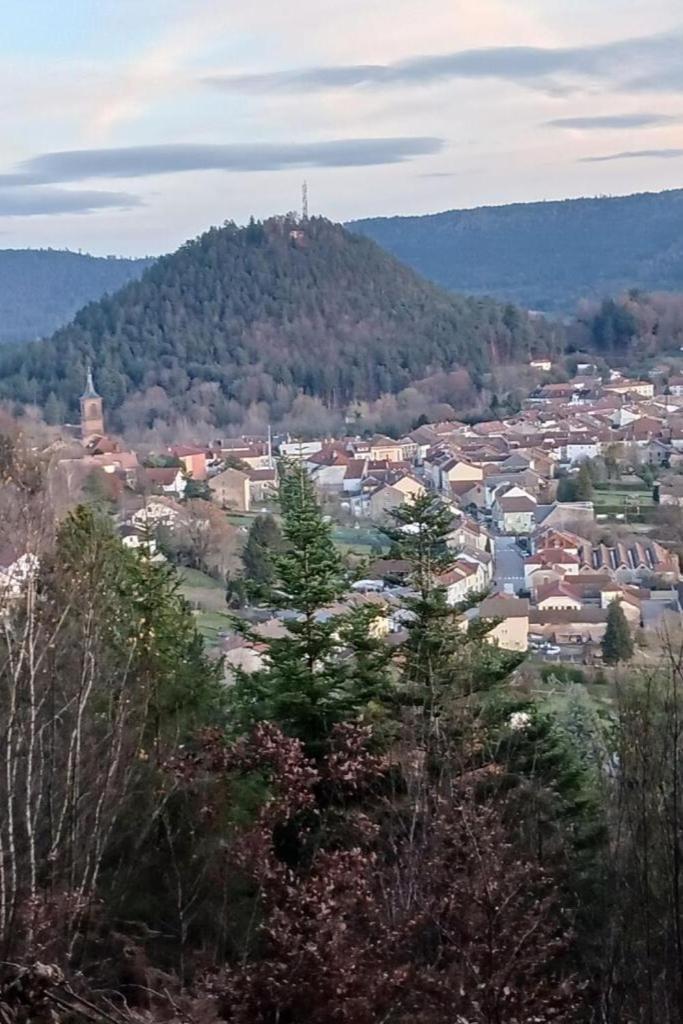 Deycimont Charmant Gite, Au Calme, Avec Vue Imprenable Sur La Nature Environnante מראה חיצוני תמונה