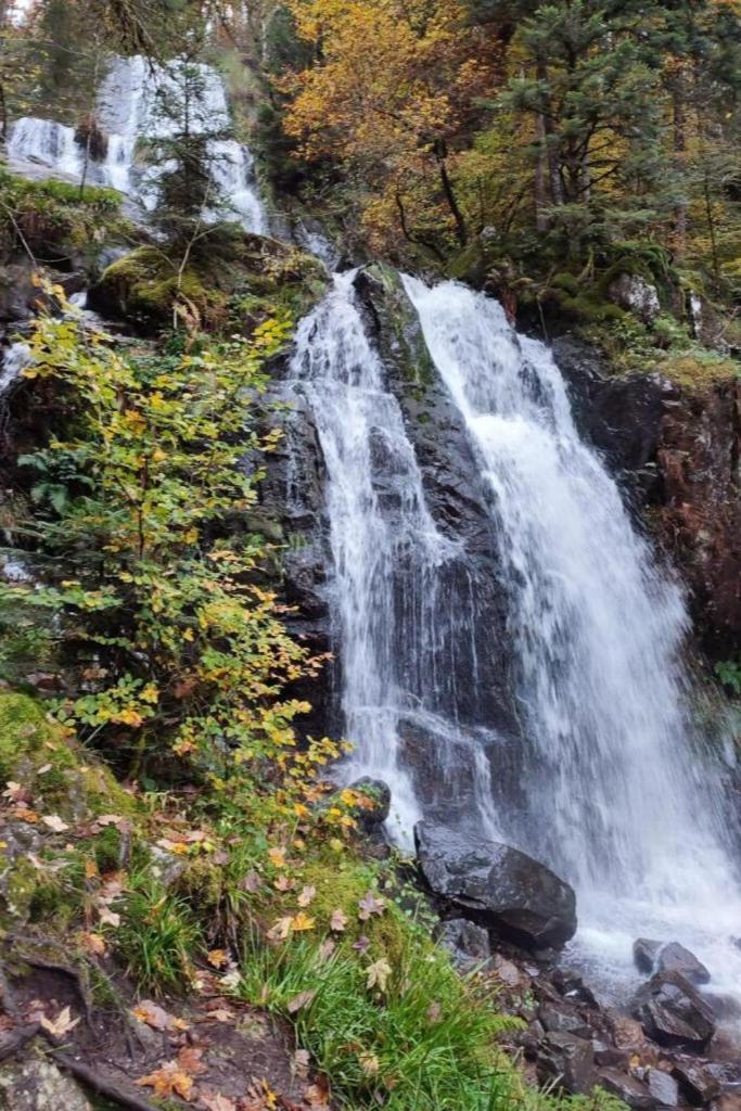 Deycimont Charmant Gite, Au Calme, Avec Vue Imprenable Sur La Nature Environnante מראה חיצוני תמונה