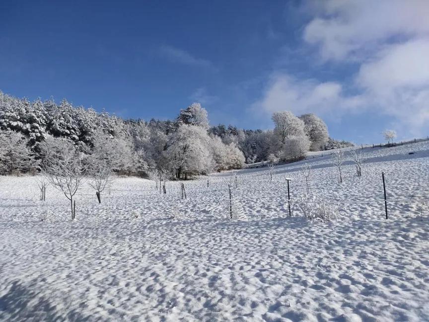 Deycimont Charmant Gite, Au Calme, Avec Vue Imprenable Sur La Nature Environnante מראה חיצוני תמונה